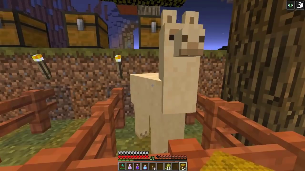 Cómo alimentar a las llamas en Minecraft